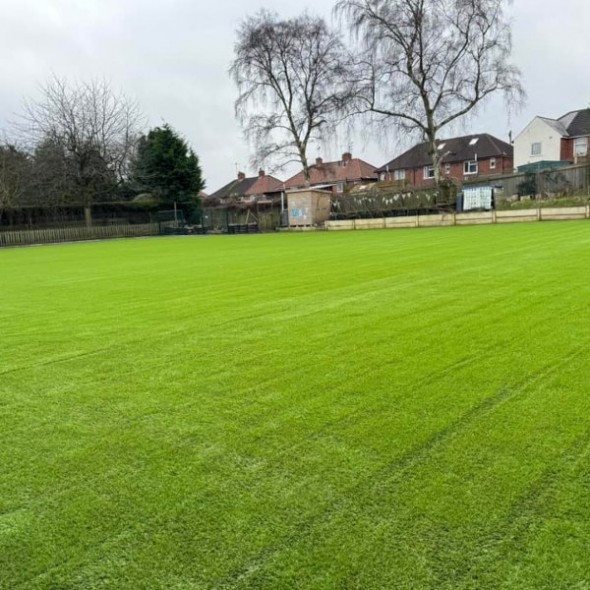 Grand 30 Artificial Grass