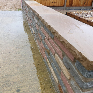 Multi Colour Sandstone Coping Stone 900x450
