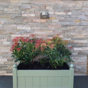 Oyster Quartz Cladding