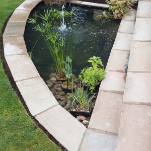 Raj Green 600x290 Calibrated