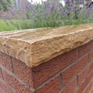 Fossil Mint Sandstone Coping Stone 900x150