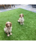 Grand 37mm Artificial Grass