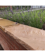 Fossil Mint Sandstone Coping Stone 900x300