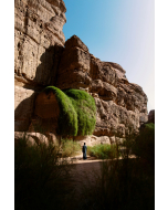 Anthracite Porcelain Plank Paving 900x200