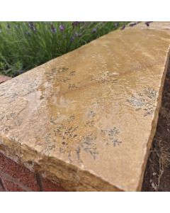 Fossil Mint Sandstone Coping Stone 900x450