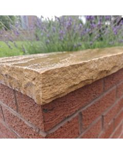 Fossil Mint Sandstone Coping Stone 900x150